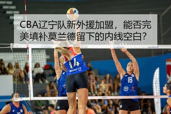 liao-ning-dui-xin-wai-yuan-jia-meng-neng-fou-wan-mei-tian-bu-mo-lan-de-liu-xia-de-nei-xian-kong-bai-2-208.jpg