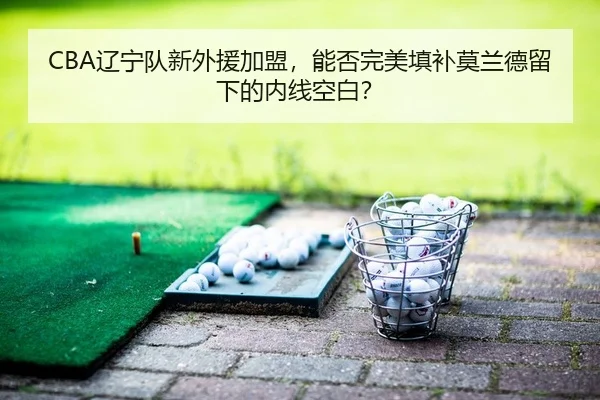 CBA辽宁队新外援加盟，能否完美填补莫兰德留下的内线空白？