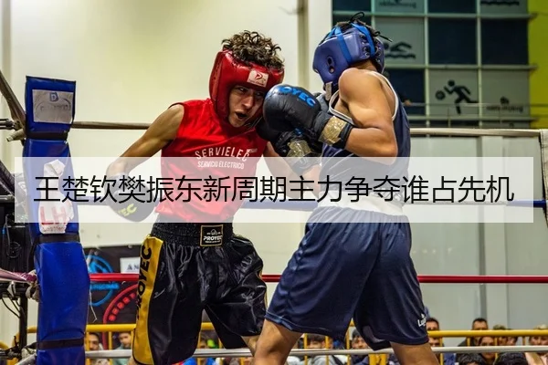 王楚钦樊振东新周期主力争夺谁占先机